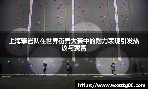 上海攀岩队在世界街舞大赛中的耐力表现引发热议与赞赏
